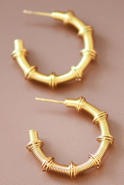 Alex Gold 18K Stainless Steel Non-Tarnish Coil Hoop Earrings